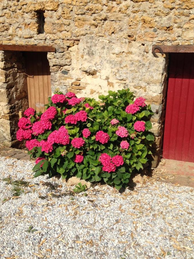 Le Clos De La Viniere Jard-sur-Mer Eksteriør bilde
